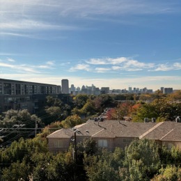 Views! a birds eye view of a city and trees