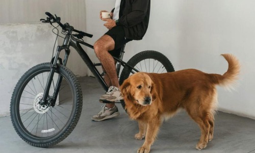 We love our furry friends a man sitting on a bike next to a dog